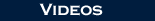 vid_label.gif (520 bytes)