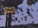 peace.jpg (10499 bytes)